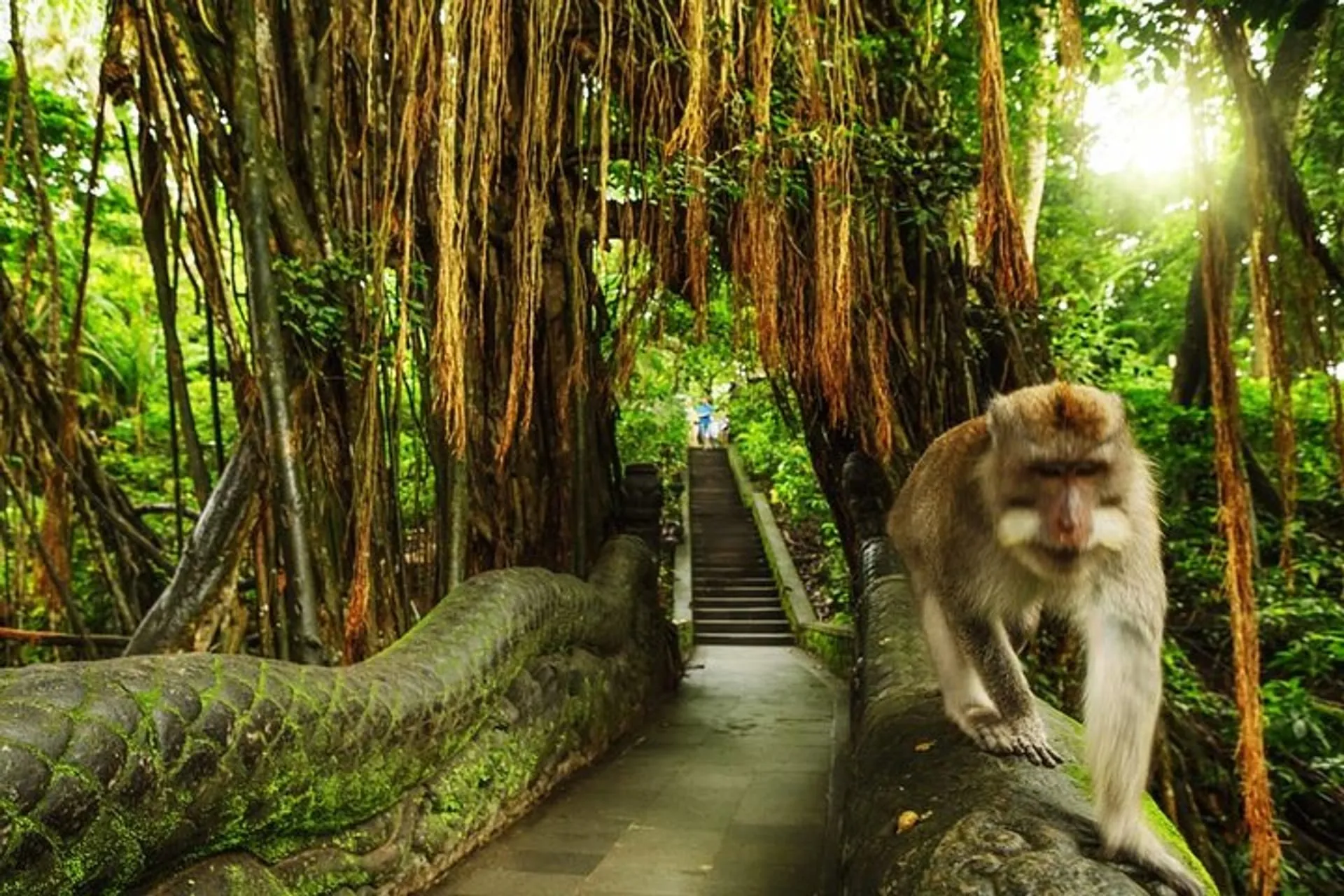 Ubud Turu - Ubud Monkey Forest 