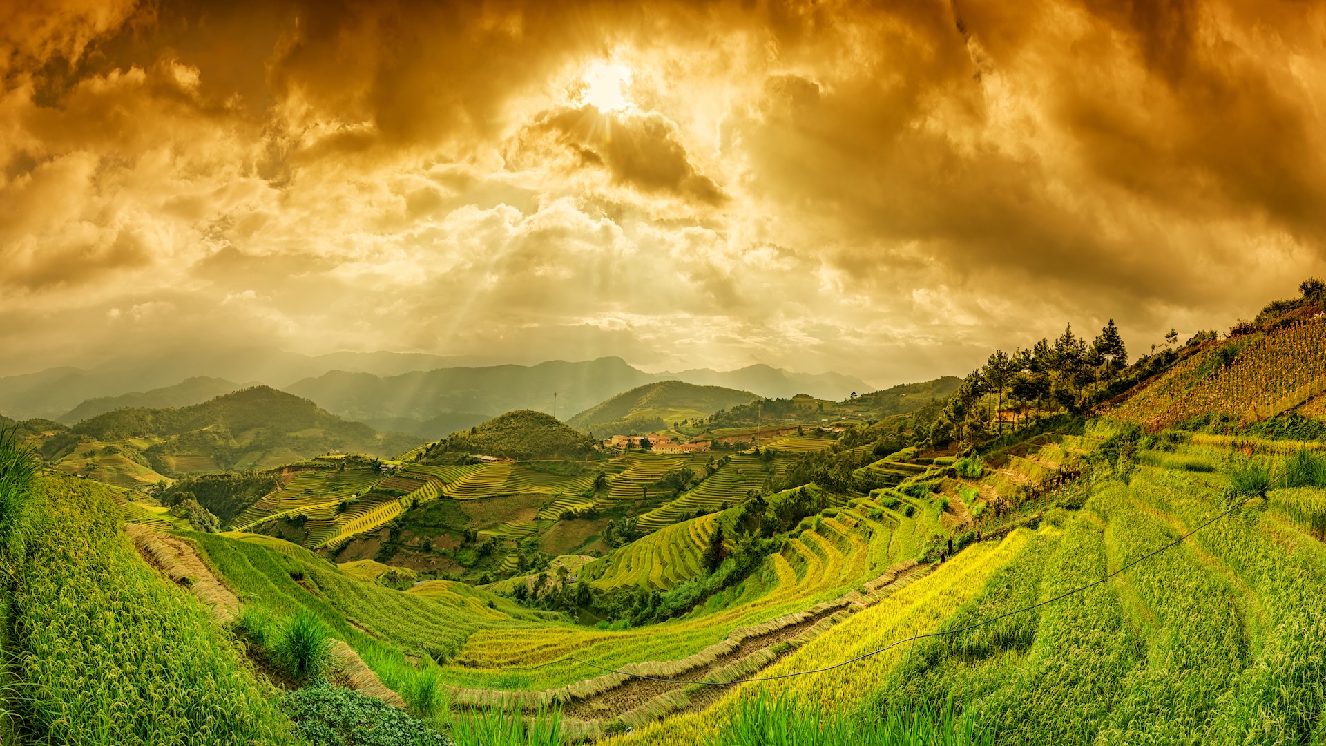 3 Gece The Royal Pita Maha Özel Havuzlu Villa & 4 gece Mercure Bali Legian Superior Room